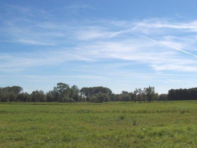 Zur-Alten-Schmiede-Ii Boltenhagen  Buitenkant foto